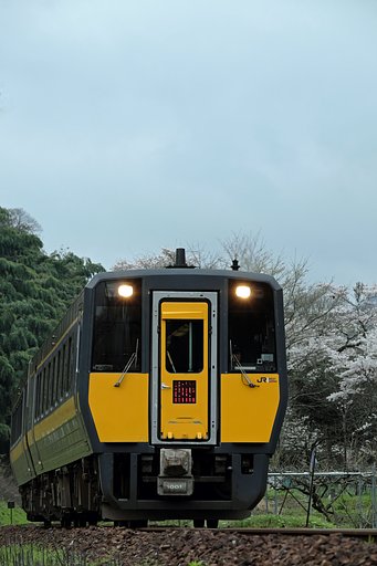 ほんとうは・・・