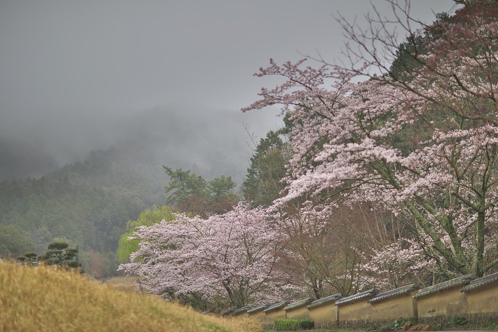 里山のめざめ