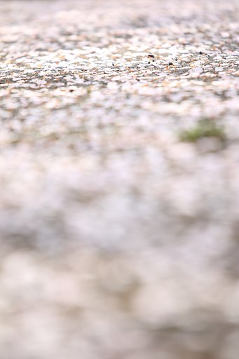 さよなら2017桜シーズン