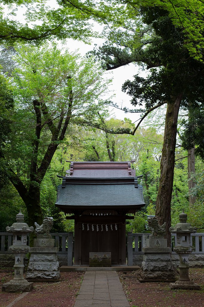 新緑の神社