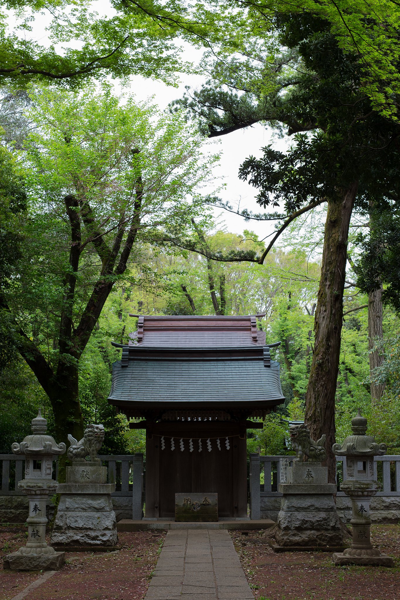 新緑の神社