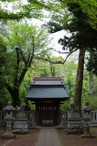 新緑の神社