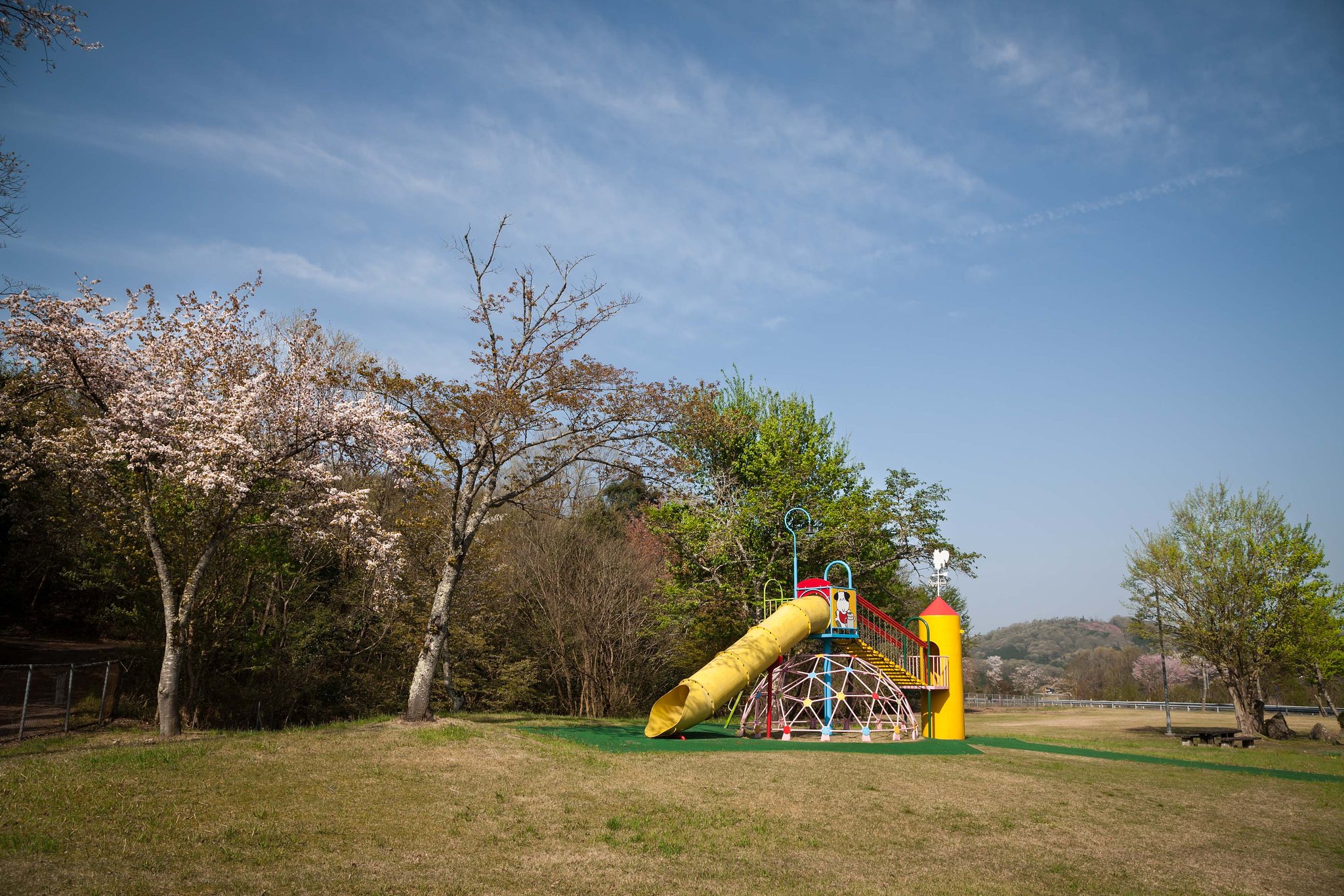 桜と遊具と新緑と