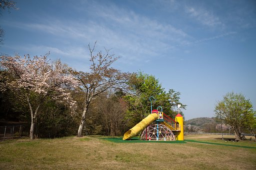 桜と遊具と新緑と