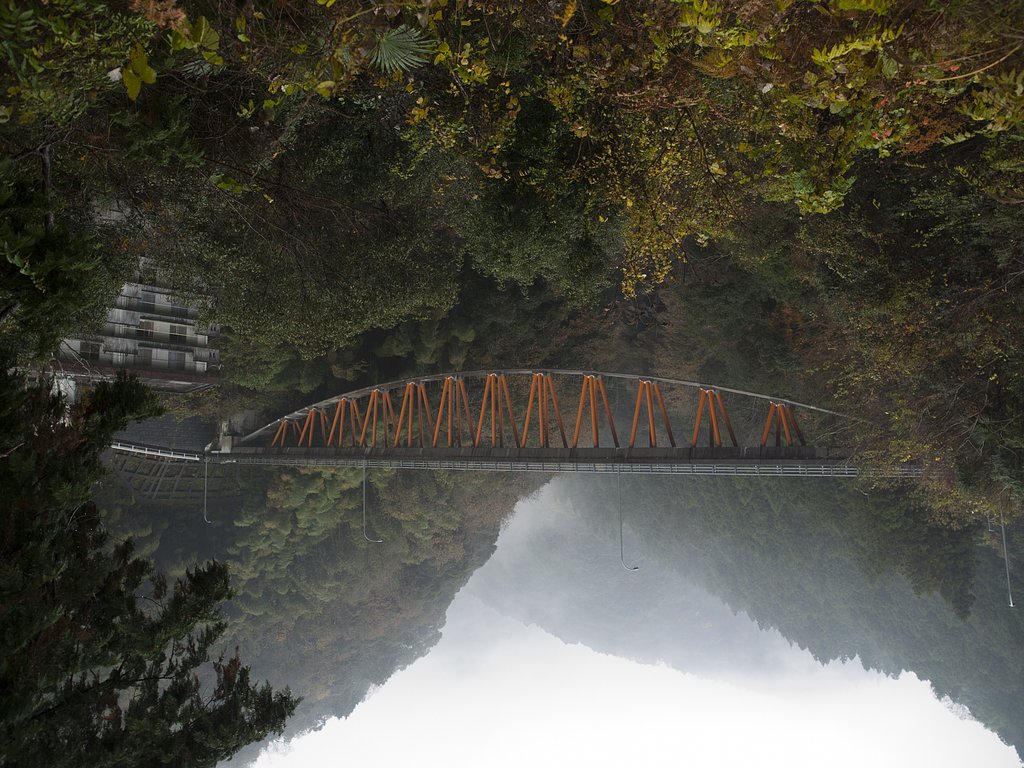 続々・写真の実利