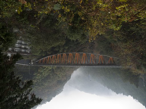続々・写真の実利