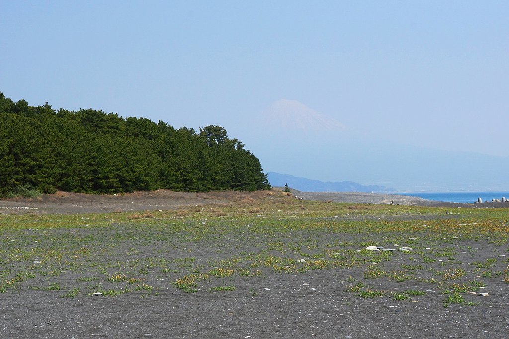 カスミの中に