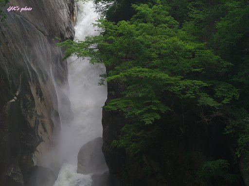7月11日の写真