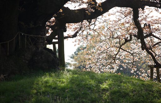 EF70-200F2.8L