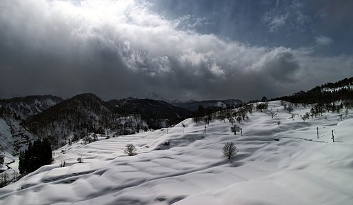 大蔵村雪景色