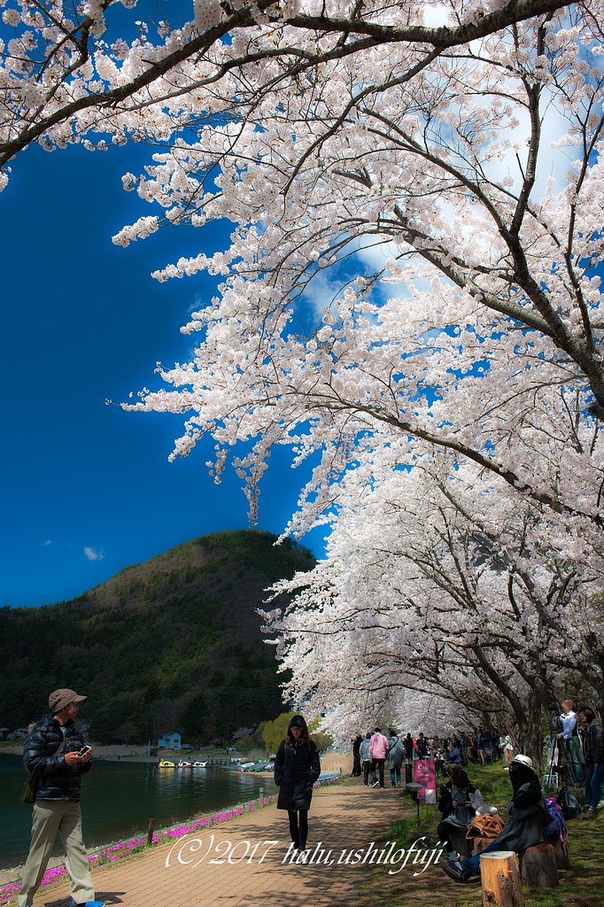 其々の湖畔