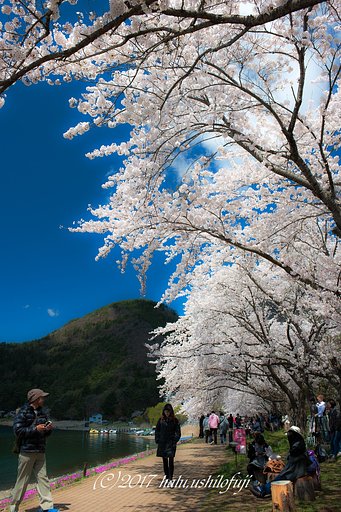 其々の湖畔