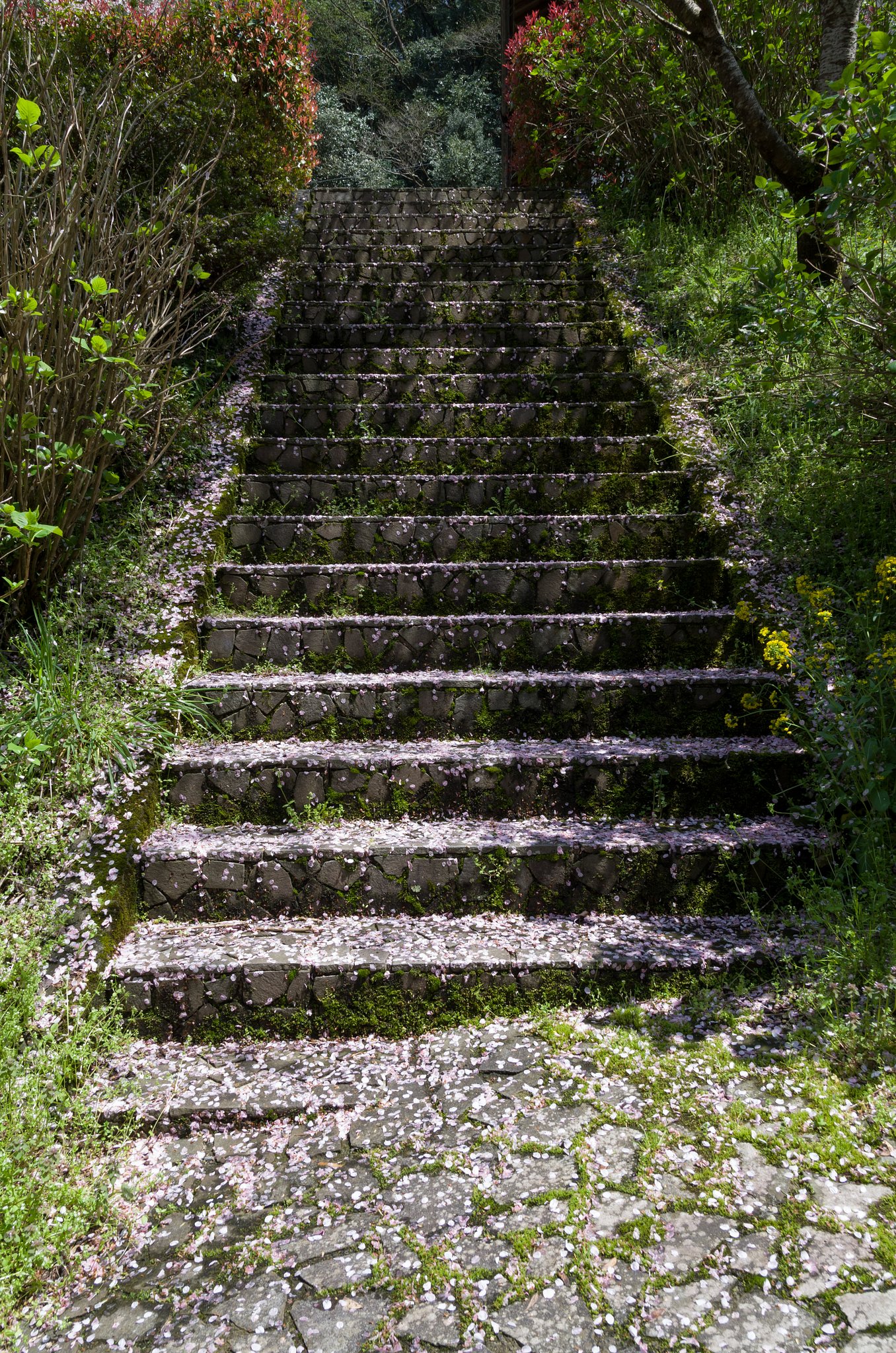 石段