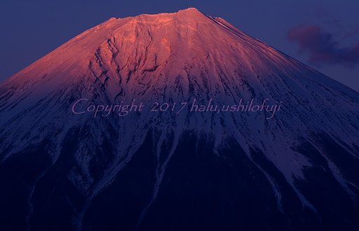 3月26日の写真