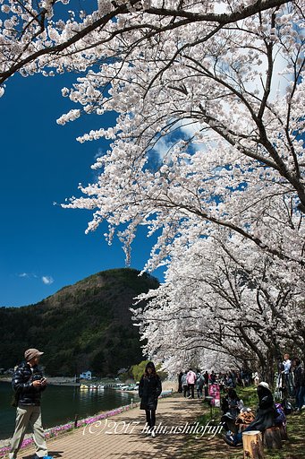 こっちでお願いします。