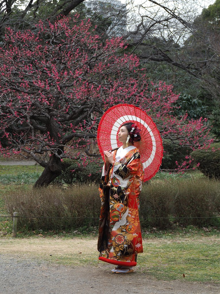 一輪の花