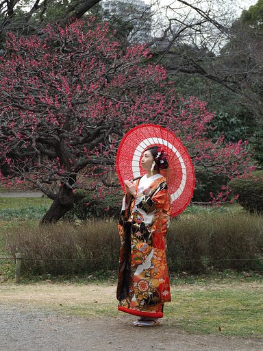 一輪の花