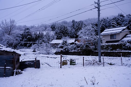 春の雪！