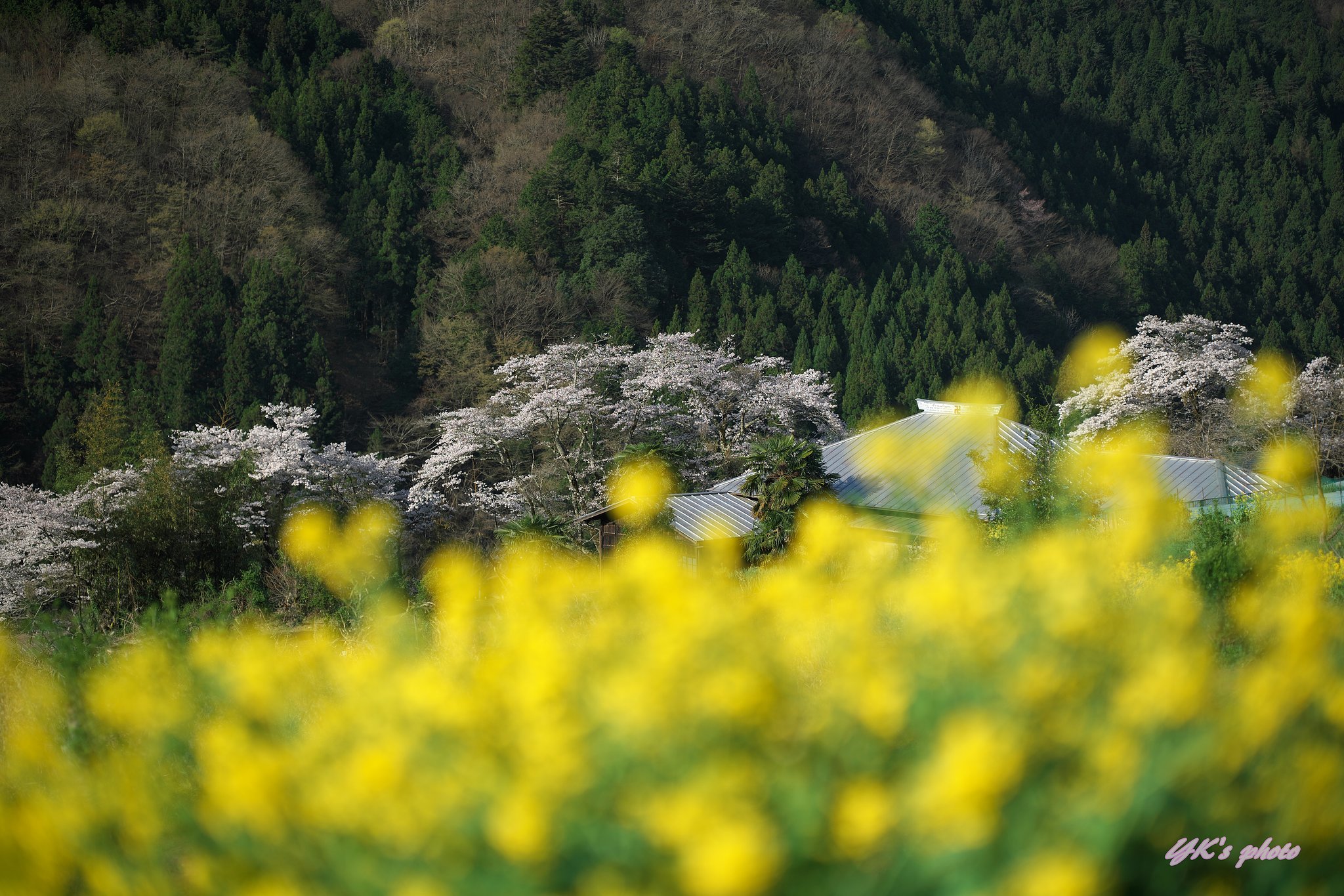 Otus 85mm F1.4 ZF2
