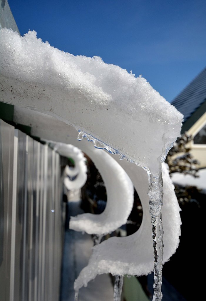 雪の爪