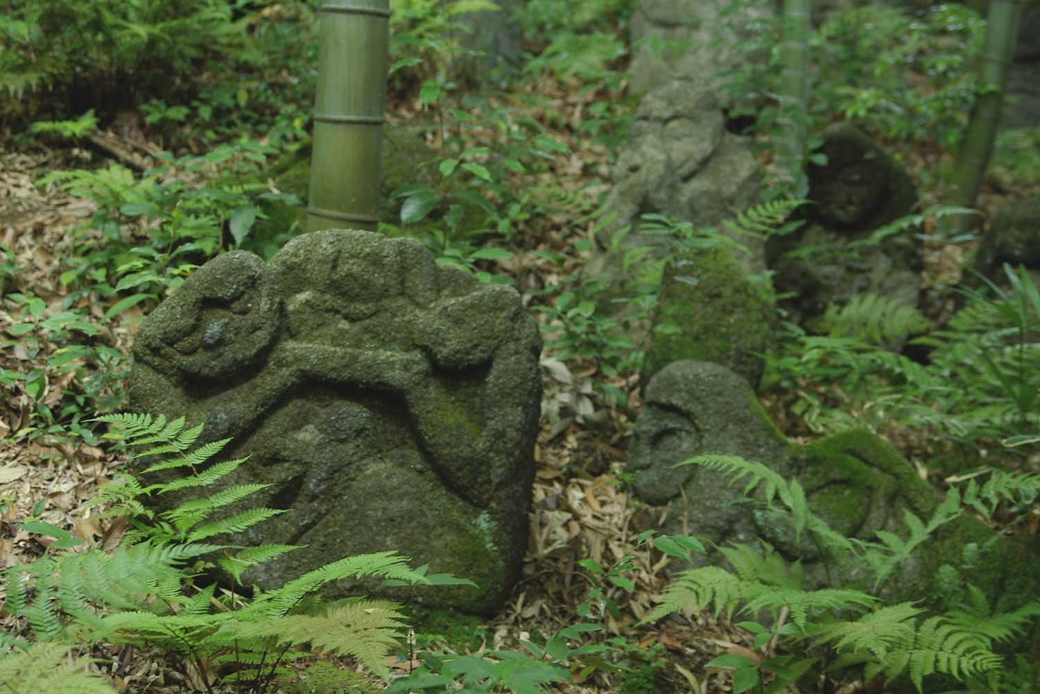 羅漢は忍者？