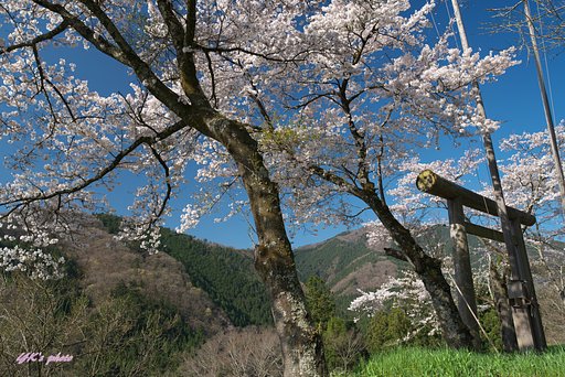 山の集落に見つけたポイント
