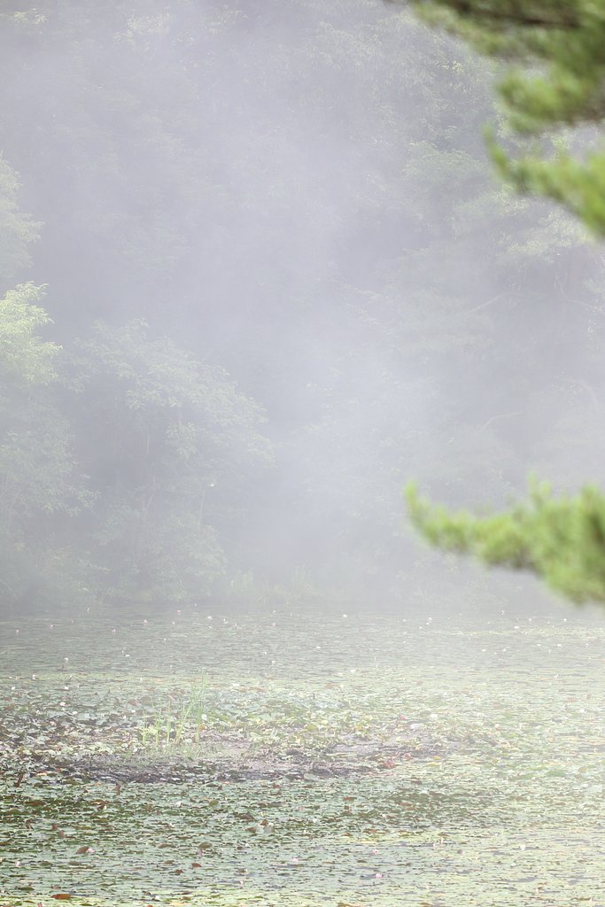 山霧