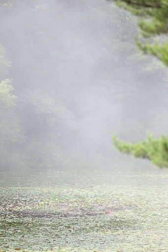 山霧