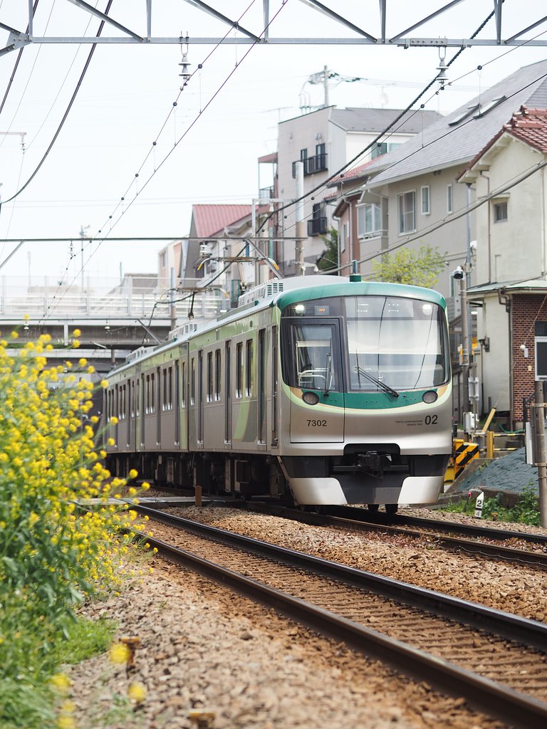 線路際の春～東急池上線１～