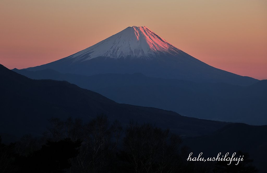 穏紅