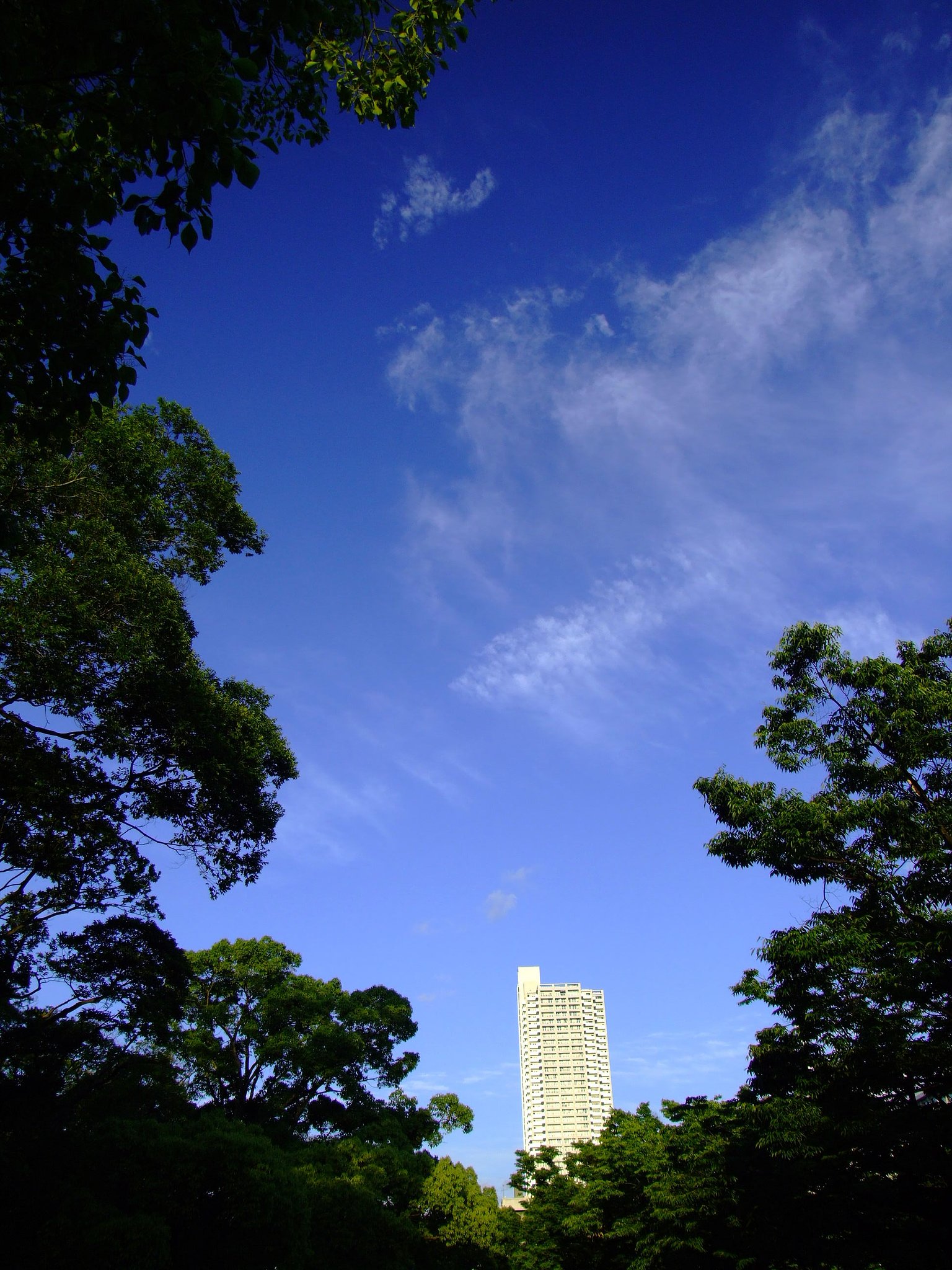 フジ・ブルー（その２）