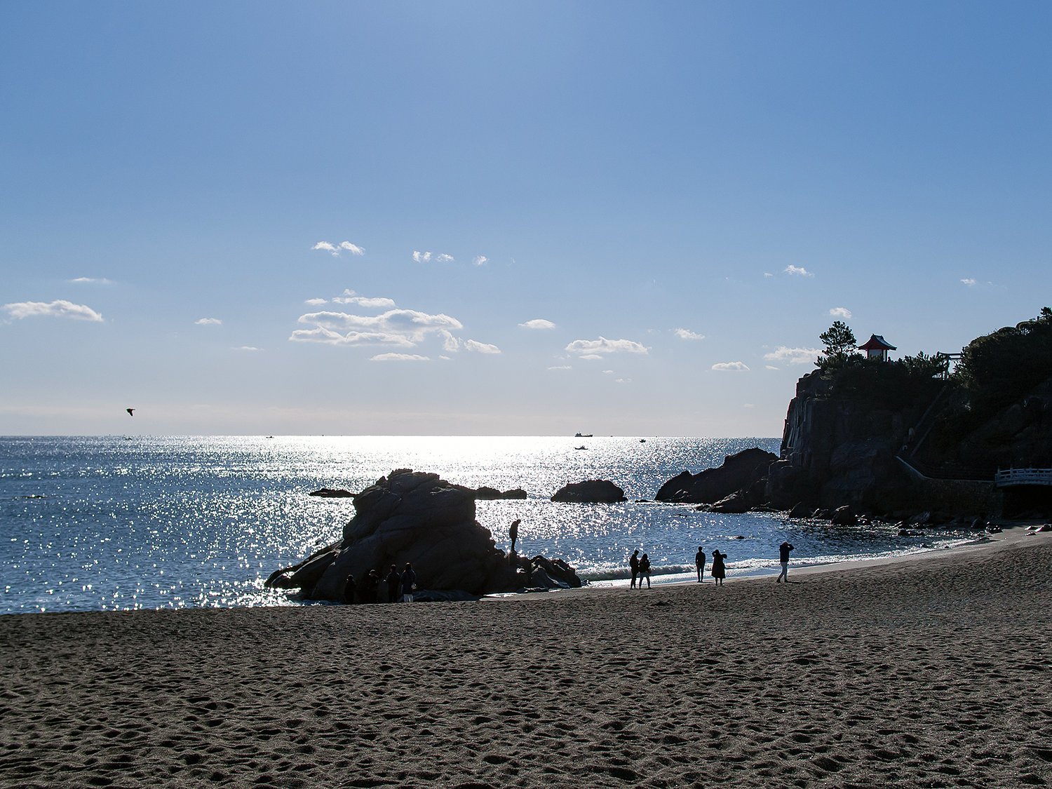 桂浜 