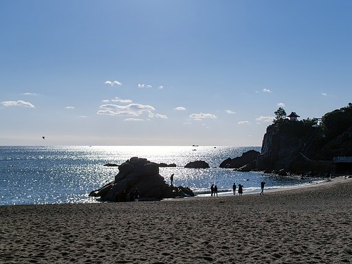 桂浜 