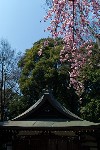 SUMMILUX-M 50mm F1.4 ASPH