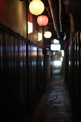 先斗町横道