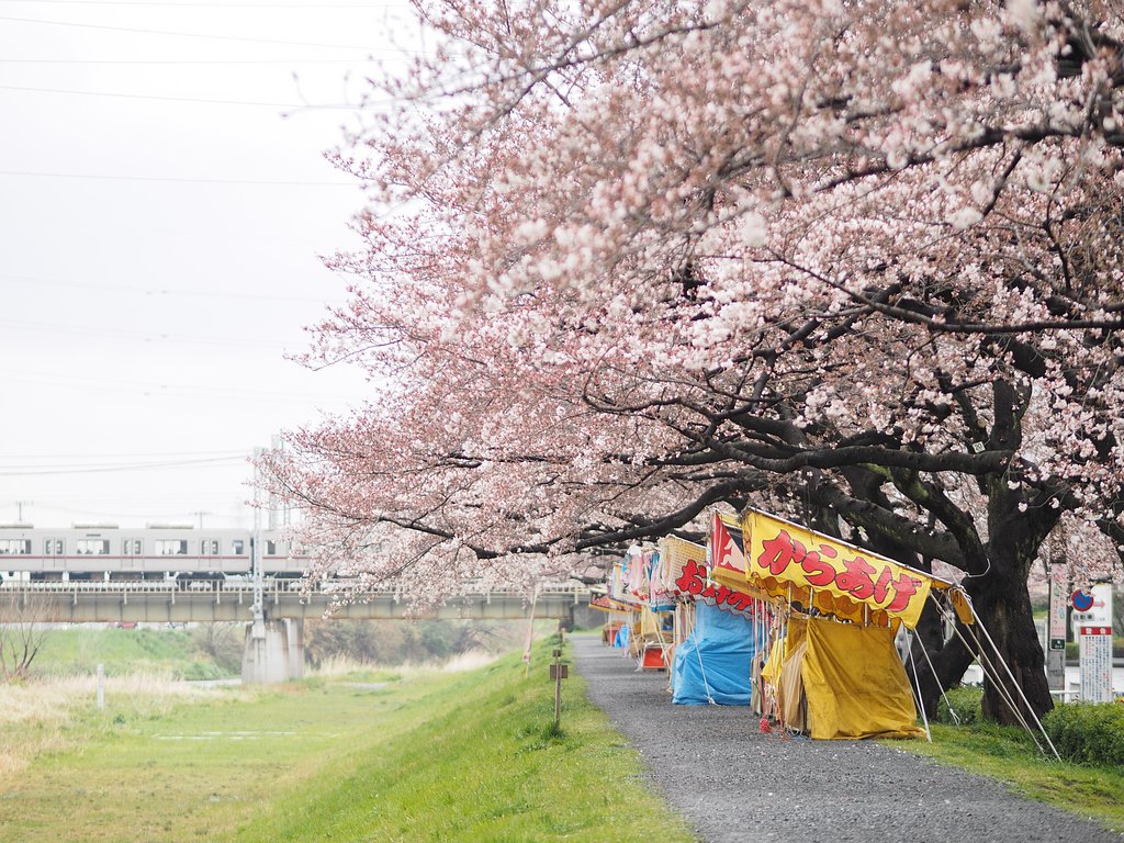 騒ぎの前の静けさ