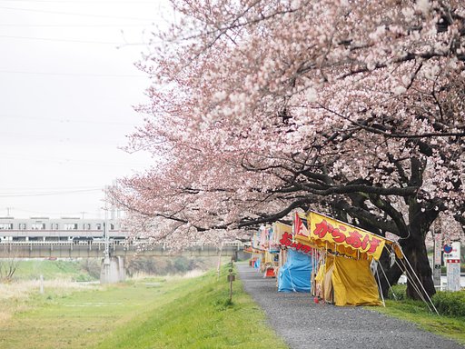 騒ぎの前の静けさ