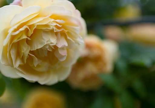 SIGMA 30mm F1.4 DC HSM