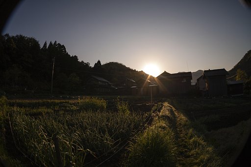 快晴の朝日の出。