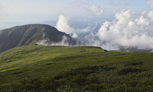 本庄方向です