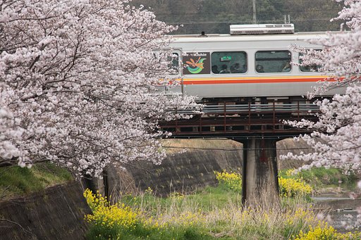 思わず車窓に