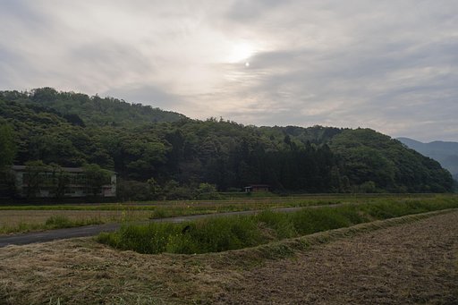田舎の朝