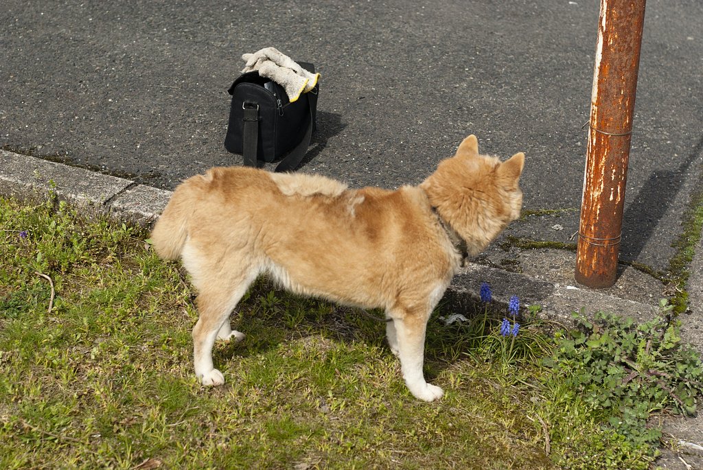 先生待ち