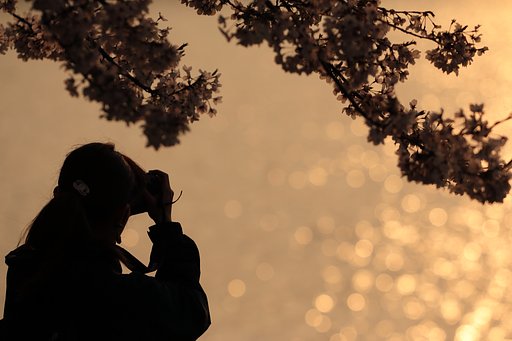 世に光のあるかぎり