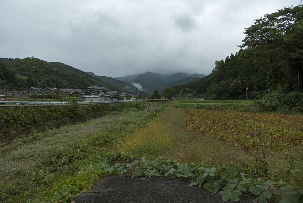 戻り梅雨？
