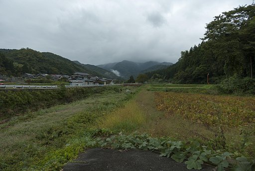 戻り梅雨？