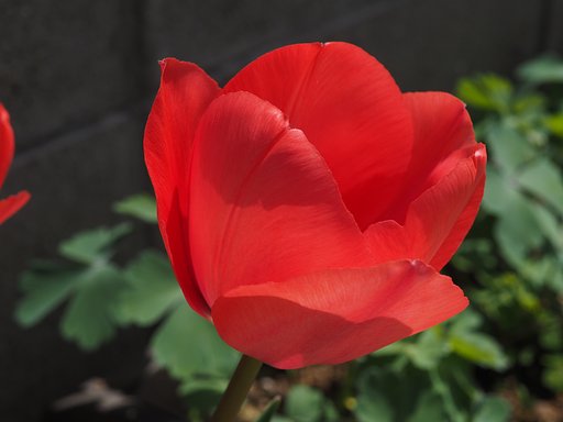 ZD35㎜F3.5macro+MMF1