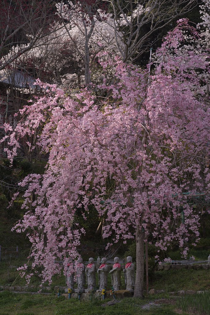 しだれ地蔵