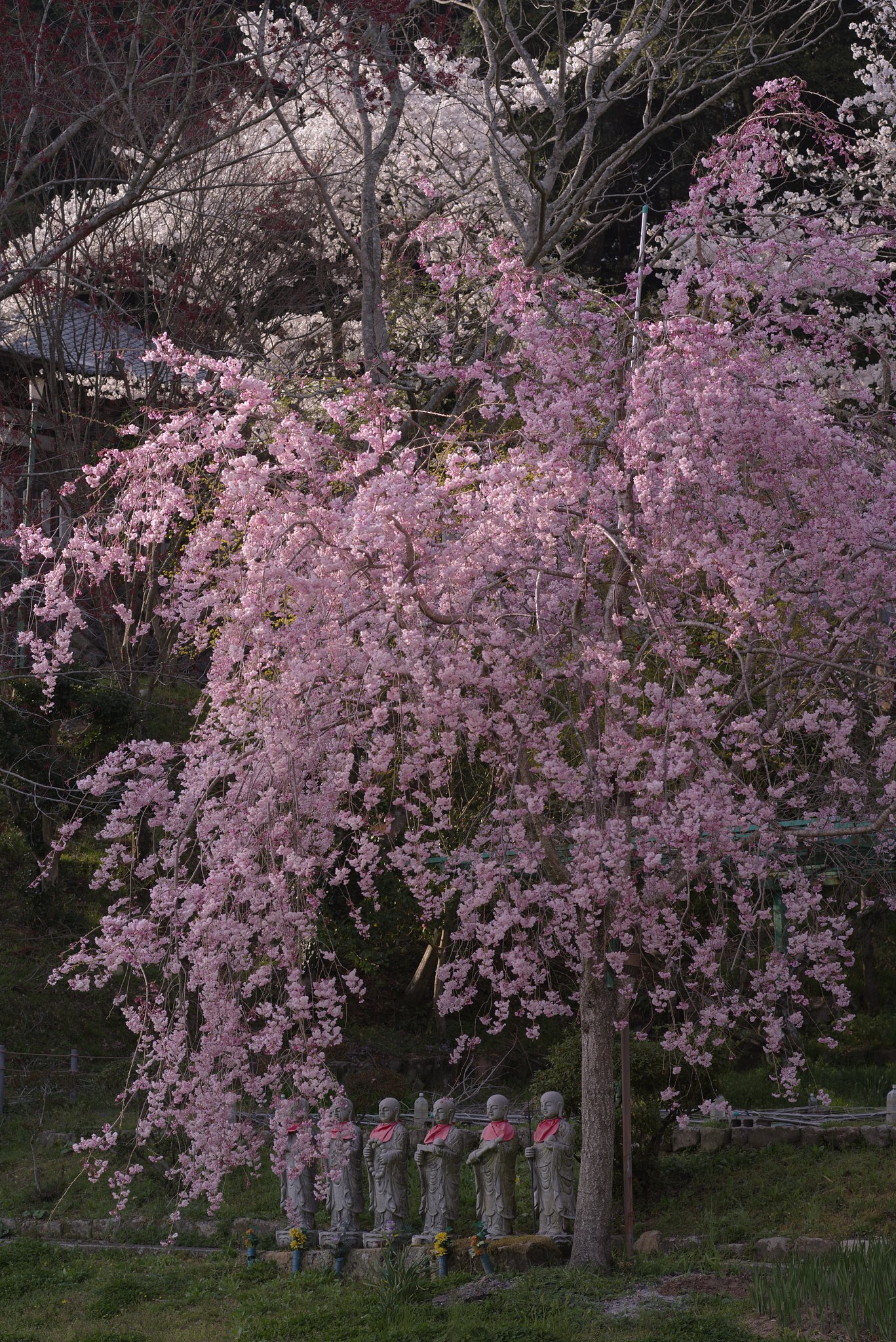 しだれ地蔵