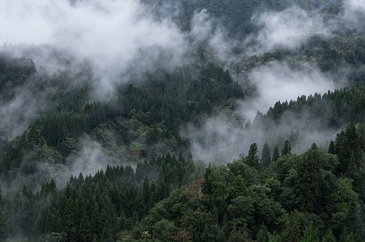 山霧棚引く